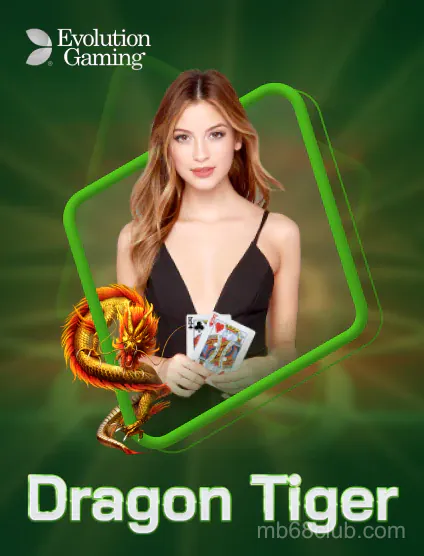 Evolution Rồng Hổ